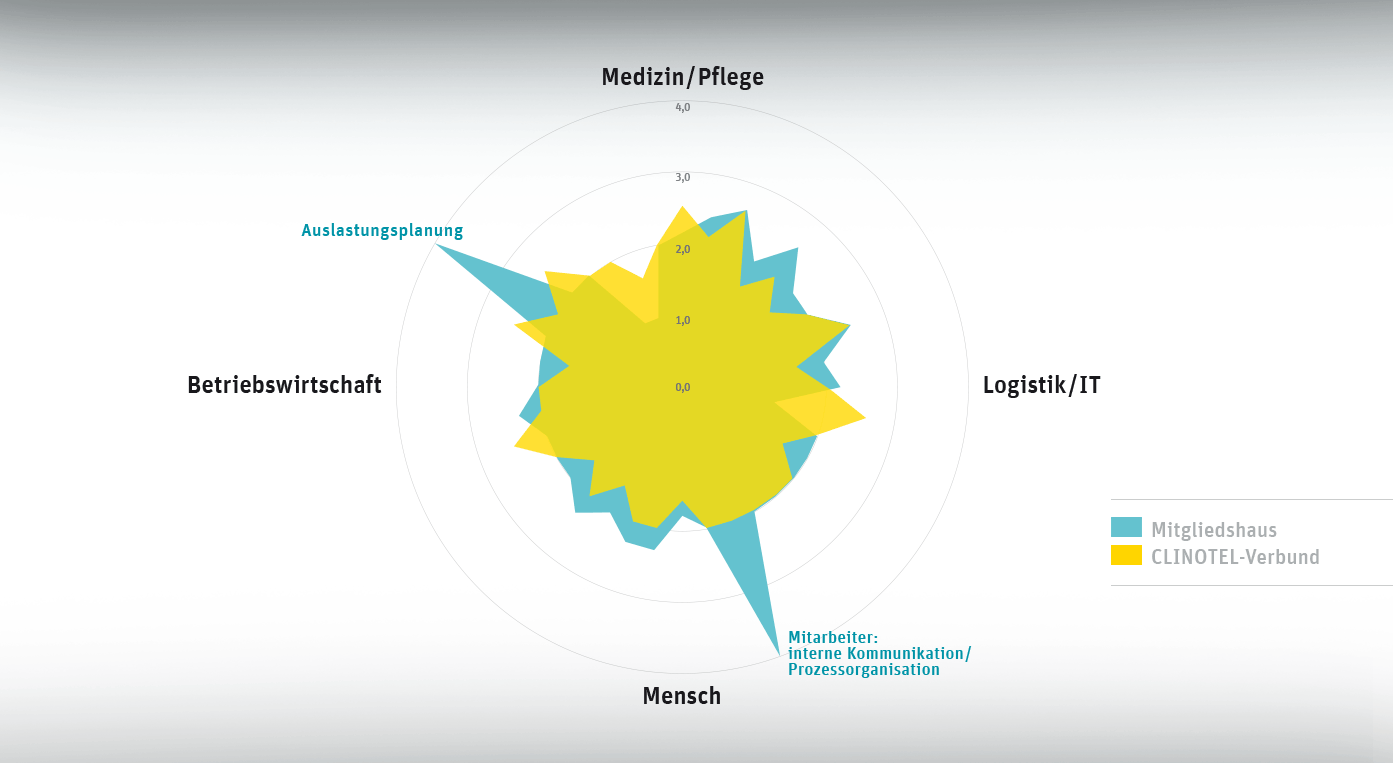 Kiviat-Diagramm | Muster